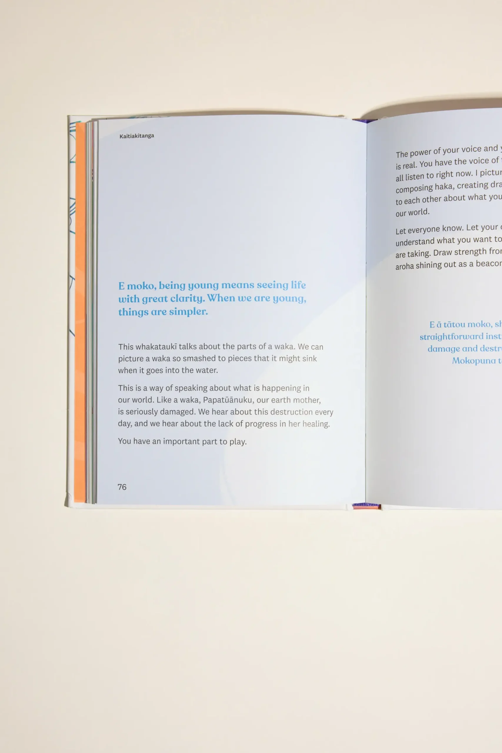Dear Moko Book