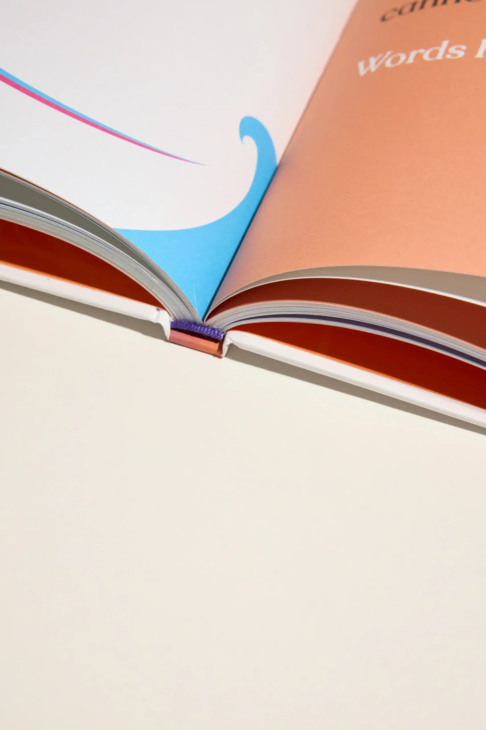 Dear Moko Book