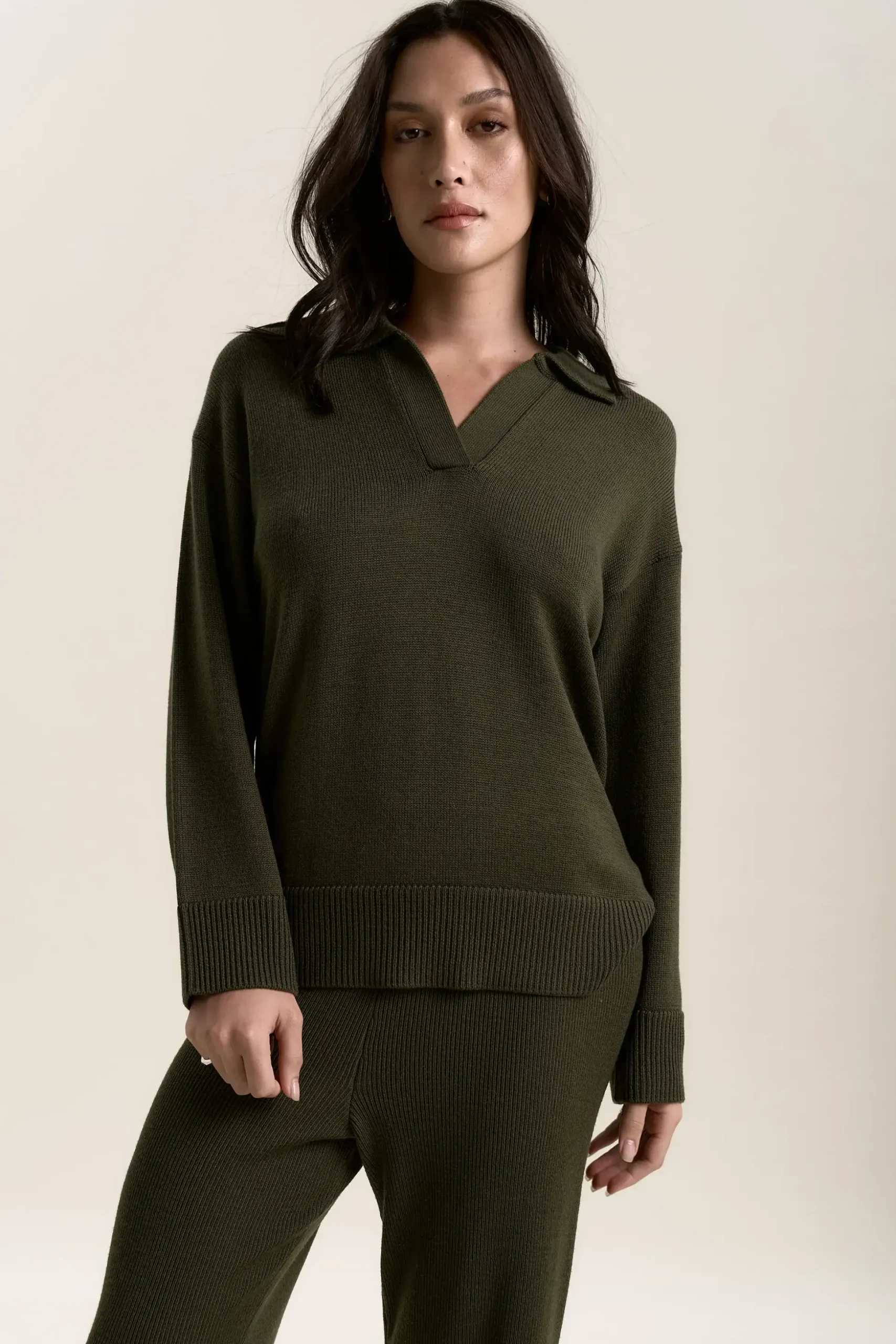 Elementary Merino Henley Sweater