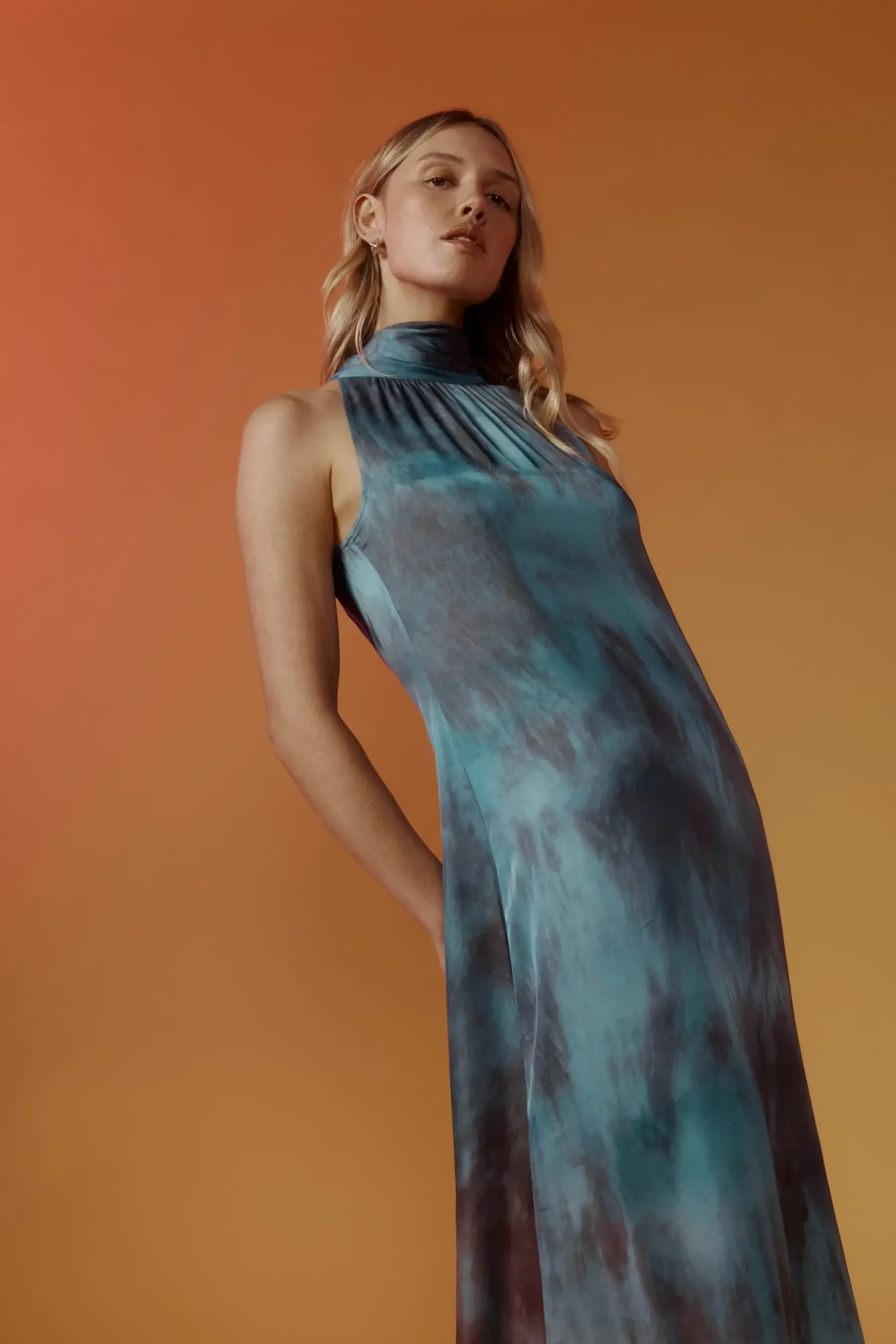 Elizabeth Halter Neck Maxi Dress