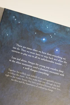 Following The Moon Book