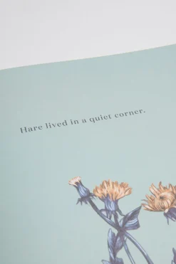 Hare & Ruru: A Quiet Moment Book