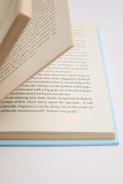 Ikigai Book
