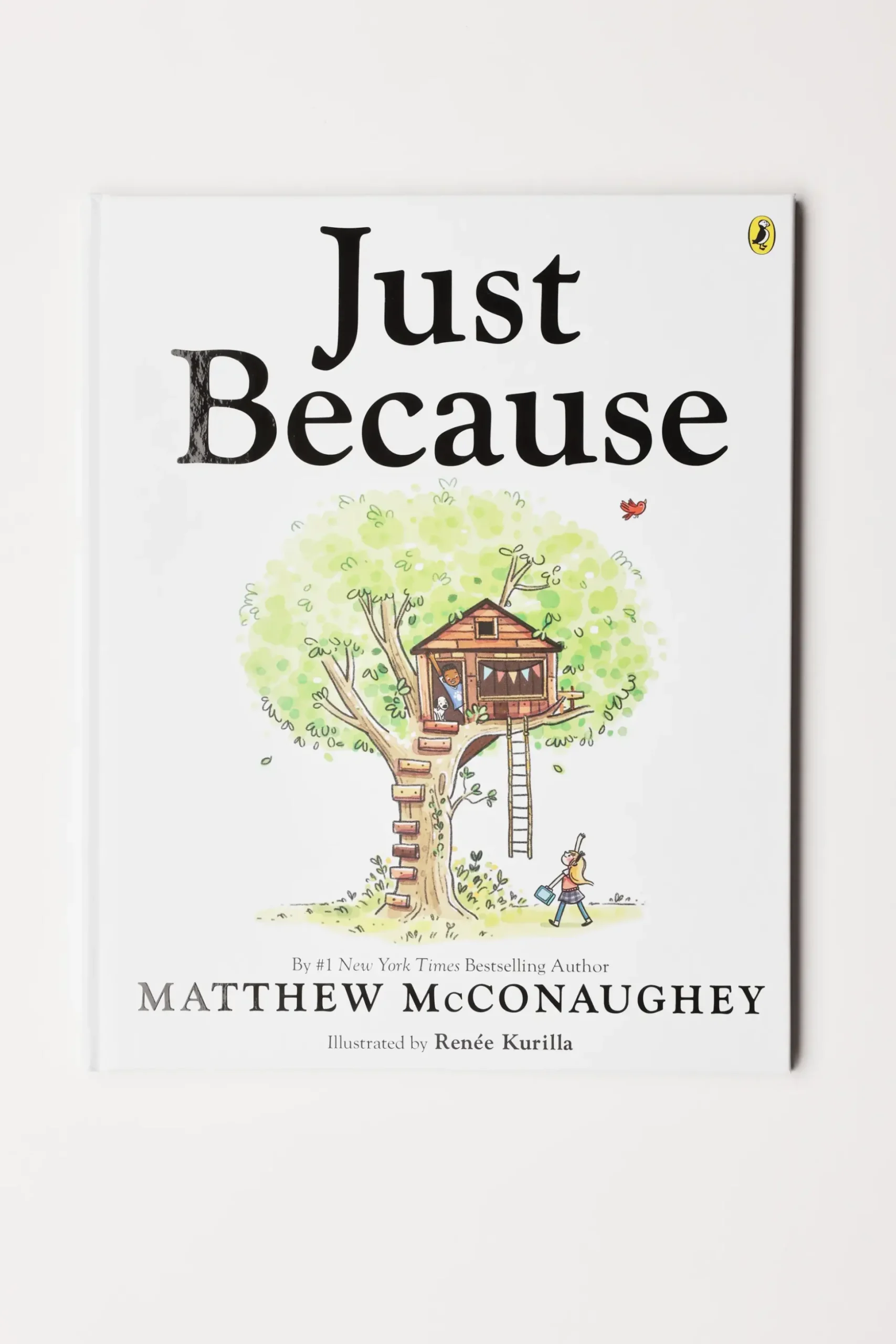 Just Because Book