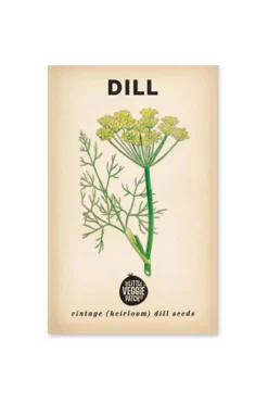Little Vege Patch Heirloom Dill Seeds