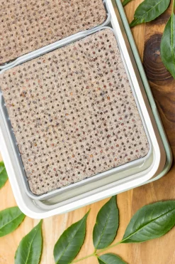 Micropod Microgreens Starter Kit