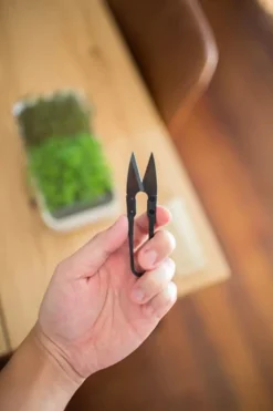 Micrpod Micro Snips