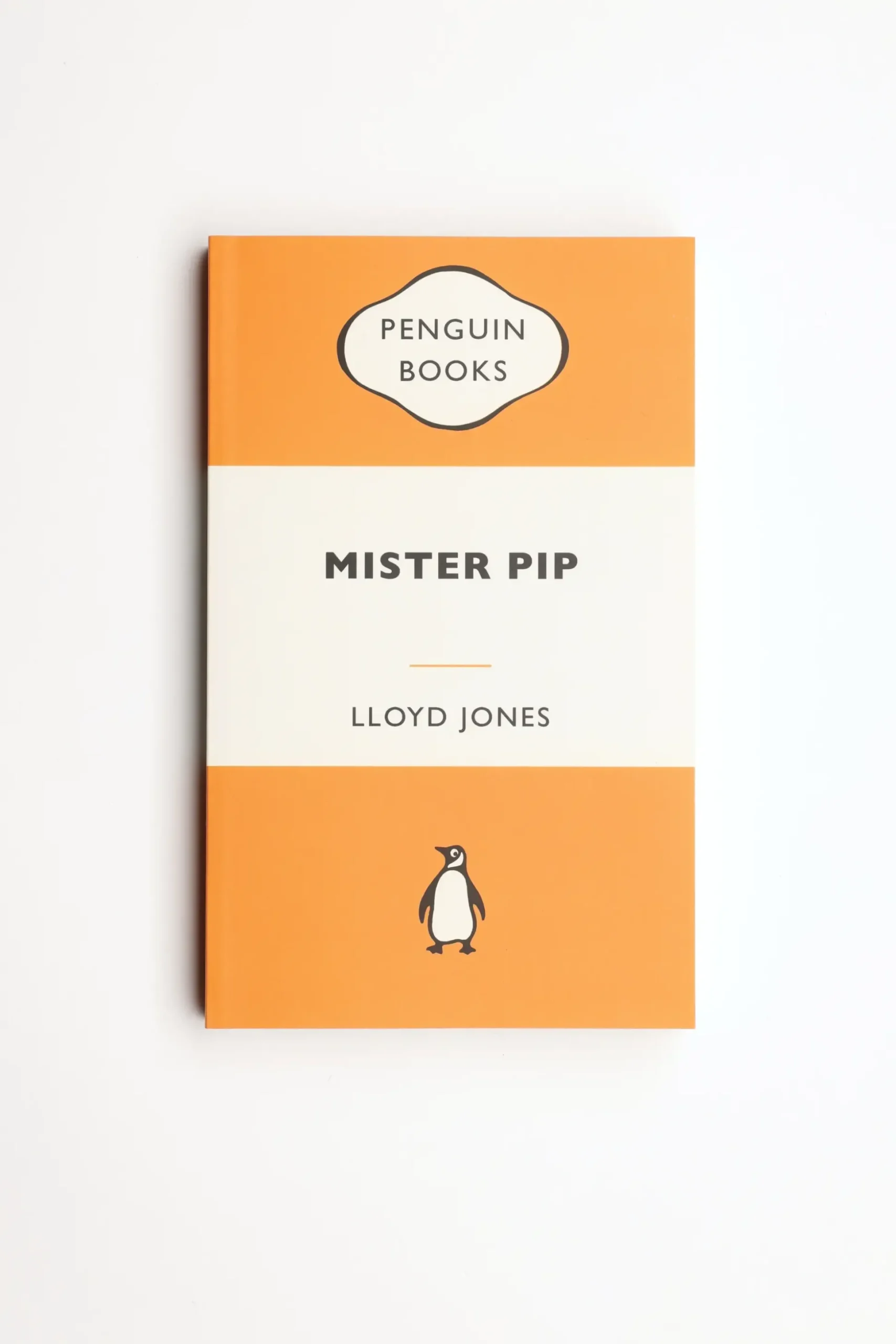 Mr Pip Book