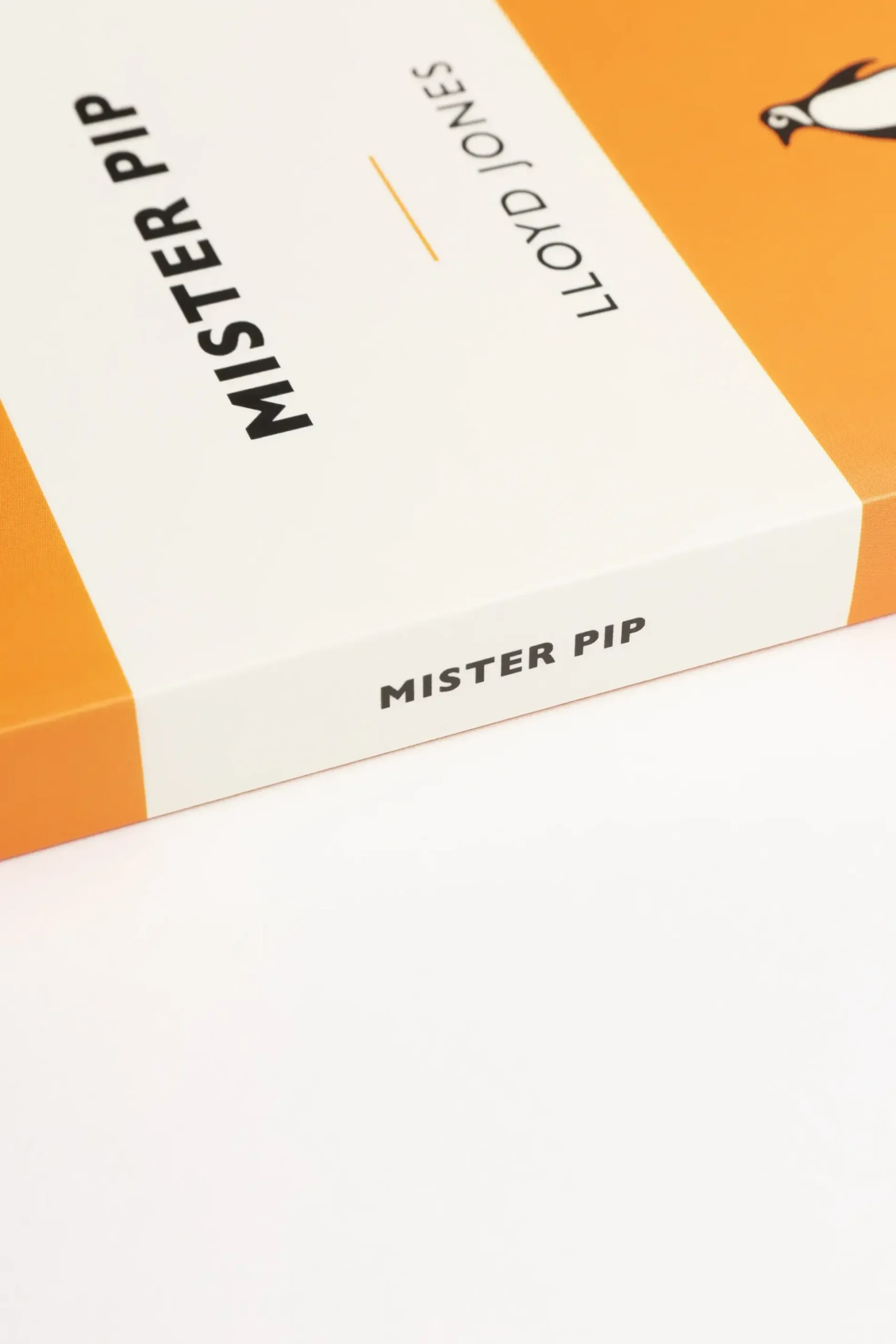 Mr Pip Book