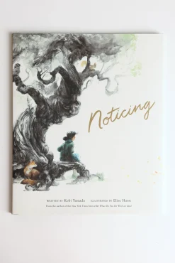 Noticing Book