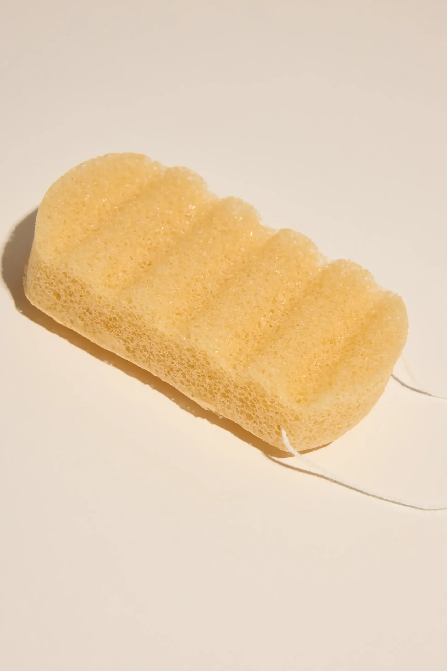 Sabun Konjac Sponge