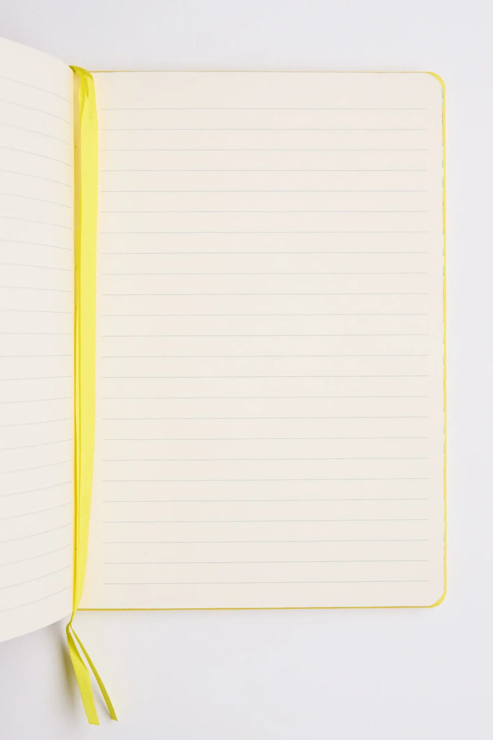 Vincent Van Gogh: Sunflowers Notebook