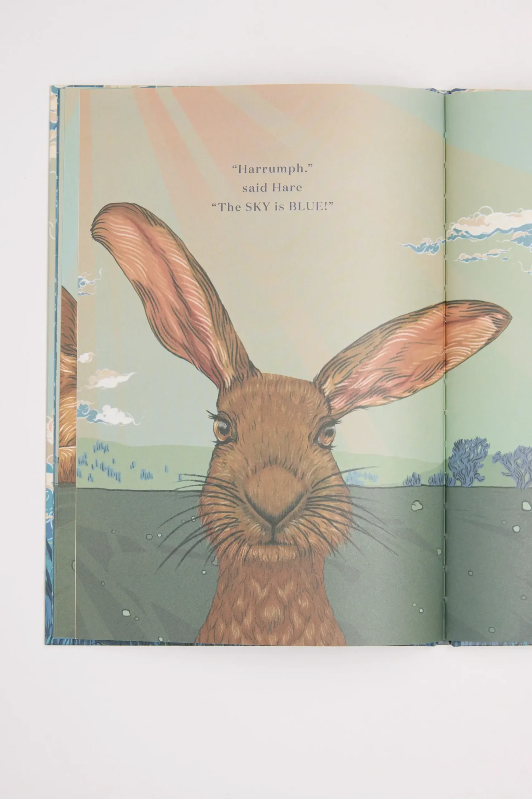 What Colour is the Sky Book