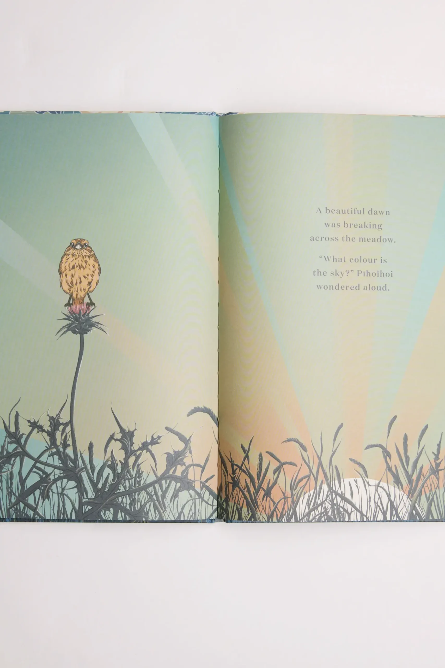 What Colour is the Sky Book